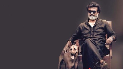 அவர்கள் கண்ணில் காலா படவில்லையா?- வீடியோ