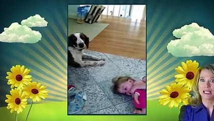 America's Cutest - S02-E05 - Dog - Snug-A-Licious