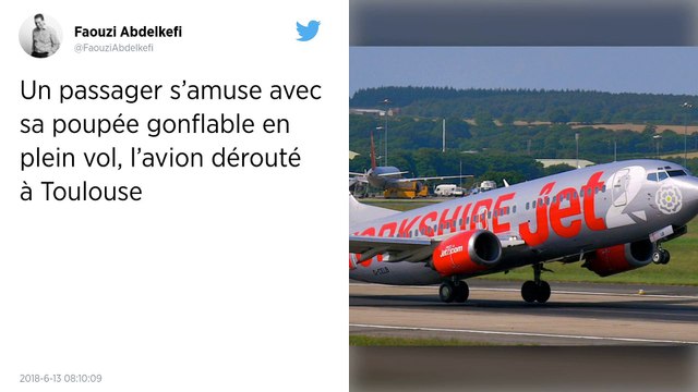 Un passager ivre et sa poupée gonflable forcent un avion à atterrir.