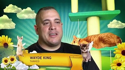 America's Cutest - S03-E02 - Dog- Happy Hounds