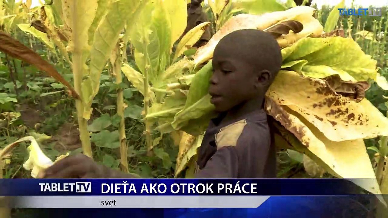 Vo svete je 218 miliónov detí vo veku 5-17 rokov nútených pracovať