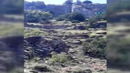 Van'ın Ardından Bitlis'te de Koyun İntiharı...200 Koyun Uçurumdan Atlayarak Telef Oldu