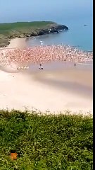 More Than 2,500 Women Skinny Dip in Irish Sea, Breaking World Record