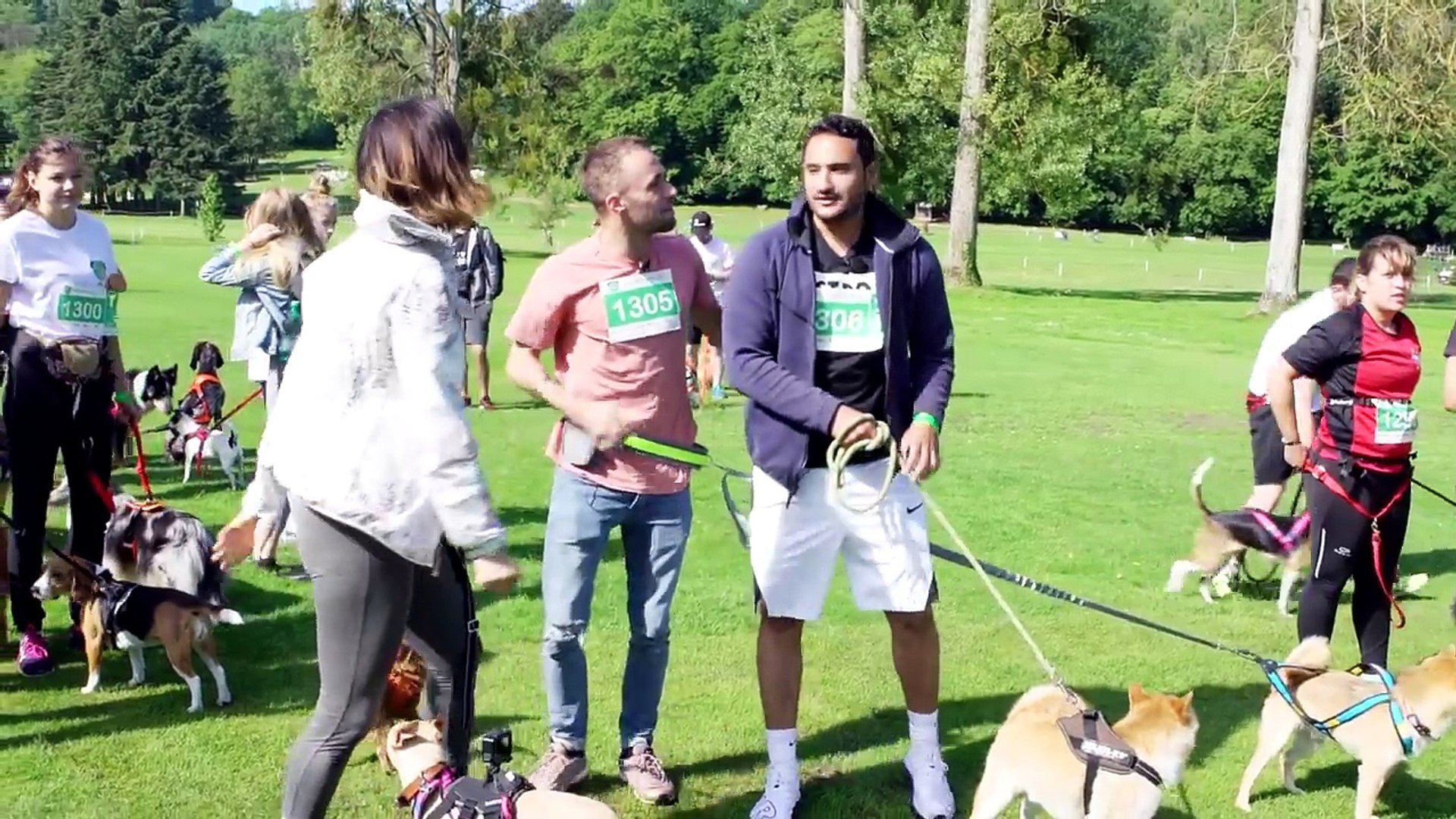 Je Teste Le Physique De Mon Chien Video Dailymotion