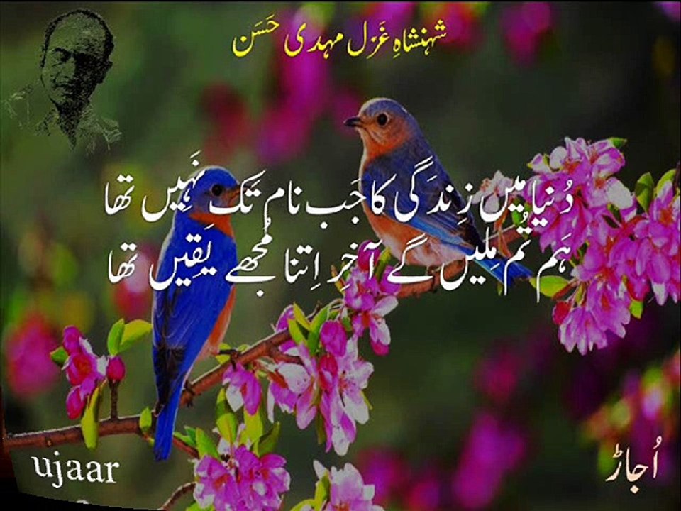 Mehdi Hassan yadain teri baqi hain-17 ham tum milain ge aakhir itna mujhay yaqeen tha دنیا میں زیندگی کا جاب نام تک نہیں