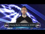 More WWE cuts! Hogan for one more match! Batista beats Rock! - WTTV News