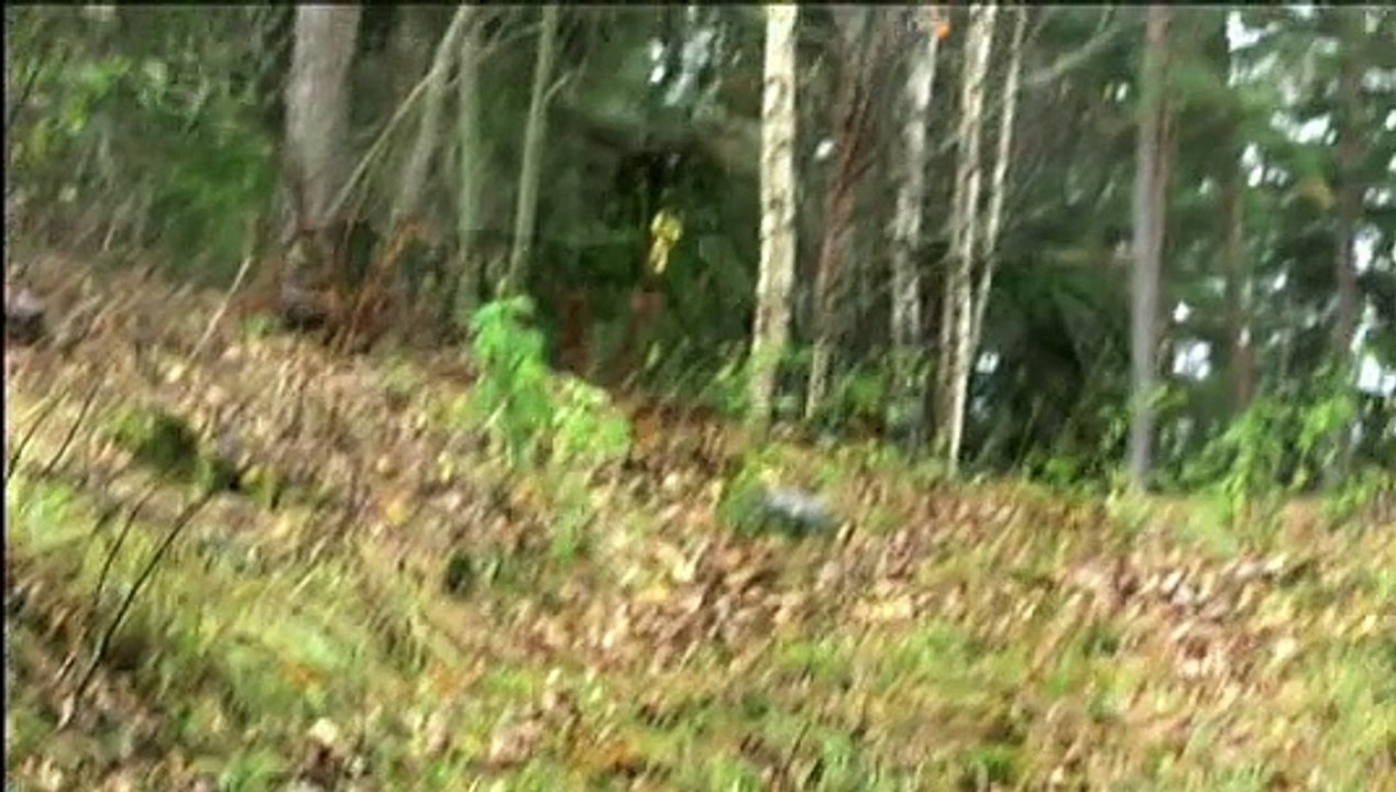 KSpree - Anders Breivik - 2014