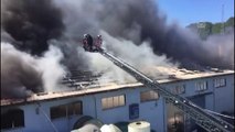 Kağıthane'de fabrika yangını (3) - İSTANBUL