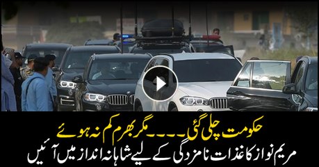 Maryam Nawaz makes a grand entrance at nomination forms hearing