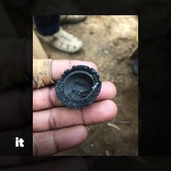 Plastic beak: how a black-necked stork was rescued after World Environment Day