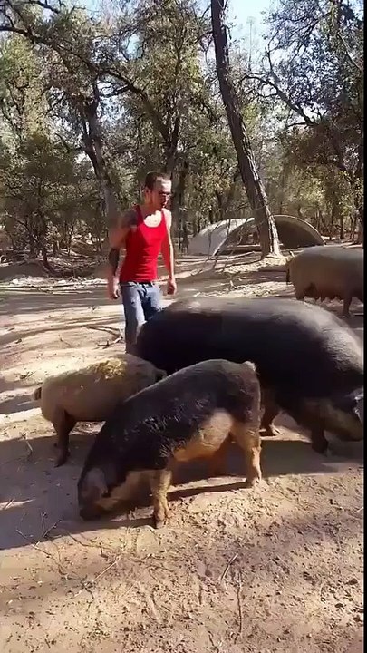 That was the last time we saw him