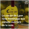 Quel est le secret des cocons de Lyon?