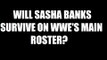 Can Sasha Banks Survive On WWE's Main Roster? NXT Takeover: Respect Review! Daily Squash 502!
