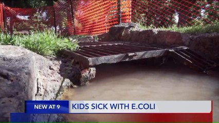 Kids Suffering from E. Coli Infections After Playing at Public Park: Family