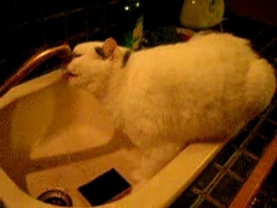 Jenson boit au robinet