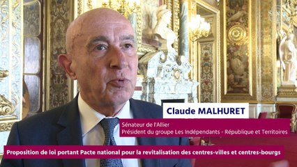 [Questions sur] Proposition de loi portant Pacte national de revitalisation des centres-villes et centres-bourgs