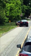Un homme bloqué dans les bouchons se lâche au bord de la route !