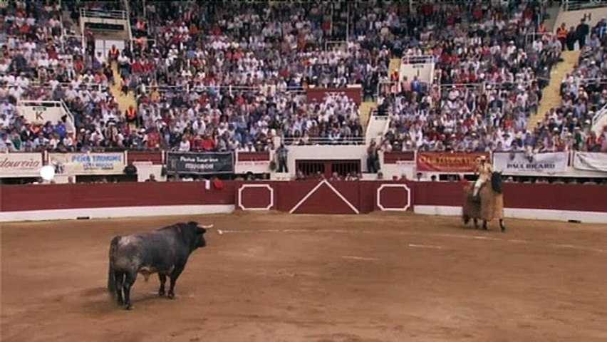 Signes du toro - Signes du toro - Férias de Nîmes et Vic Fezensac 2018
