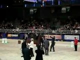 Salon du cheval - Championnat des chevaux arabes - Gagnant1