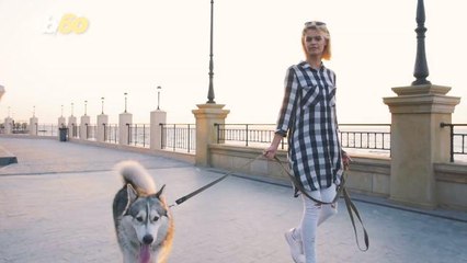 How Often Should You Really Walk Your Dog for Optimal Health 🐶