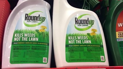 Ségolène Royal remet Nicolas Hulot à sa place