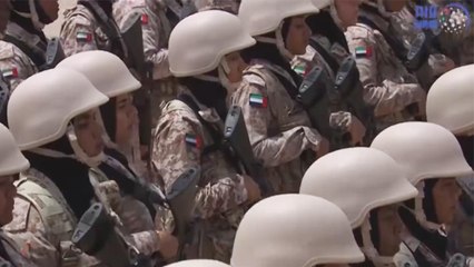 الإمارات تبدأ عملية عسكرية للسيطرة على الحديدة باليمن