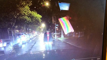 Person Jumps in Front of Car and Gets Arrested