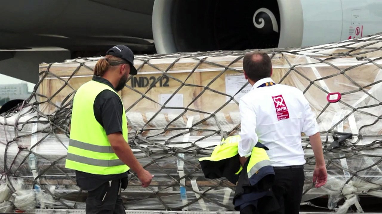 Tor des legendären deutschen 7:1-siegs in frankfurt gelandet