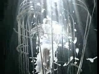 Subaru CM: ERIKA - FREE