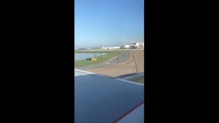 Les passagers d'un avion croisent la route d'un alligator sur l'aéroport de Miami