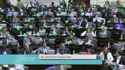 Argentina: congresso decide se legaliza aborto
