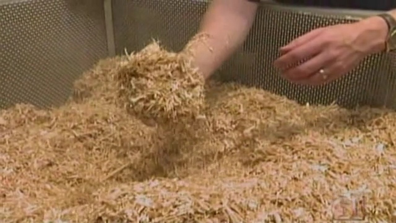 Biomass