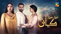 Teri Meri Kahani Episode 34 Promo HUM TV Drama