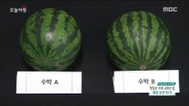 [Morning Show]Honey tip to pick more delicious watermelon! 더 맛있는 수박을 고르는 꿀팁 공개! [생방송 오늘 아침] 20180614