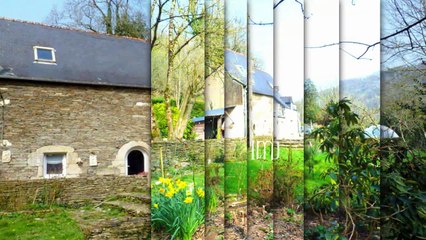 Propriété avec gîte sur 3 Hectares
