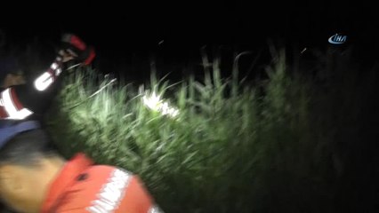 Konya'da yaban domuzu kazaya sebep oldu: 5 yaralı