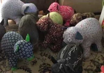 Adorable Wombat Spots the Imposers