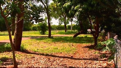 Outback Wildlife Rescue Episode 9