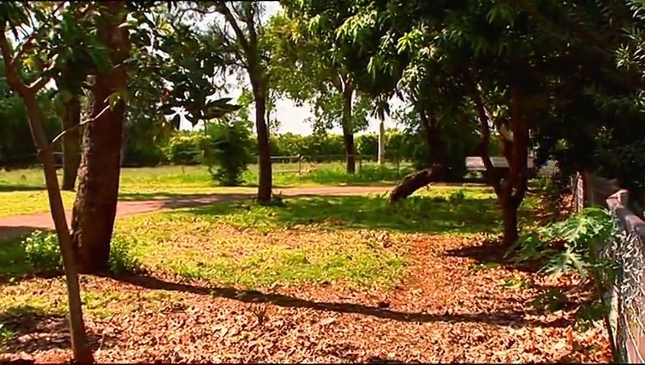 Outback Wildlife Rescue Episode 9