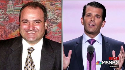 Rachel walks through ways in which the Saudis and UAE may have also helped Trump's 2016 election