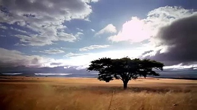 PBS NATURE: Snow Monkeys (Wildlife Documentary)