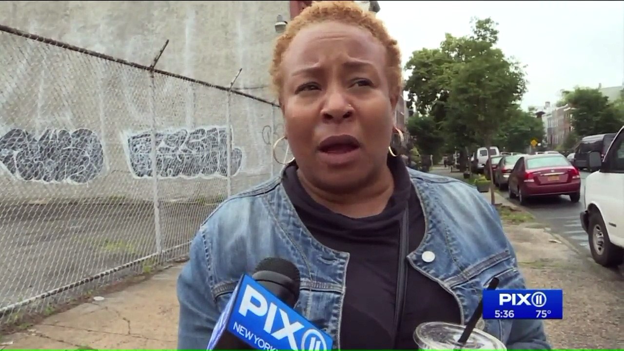 NYC Rat Problem Appears to be Getting Worse, Study Shows video Dailymotion