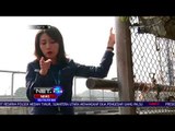 Teror Pelempar Batu ke Kaca Mobil, Perwira TNI Ikut Jadi Korban - NET 24