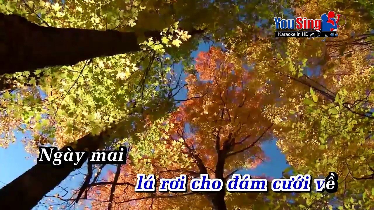 Lá Đổ Muôn Chiều - Tuấn Ngọc