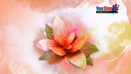 Lạc Mất Mùa Xuân - Đàm Vĩnh Hưng