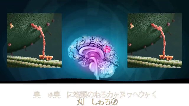 元FBIエージェントが教える、200％人を引き付けるようになるコツ、トップ10