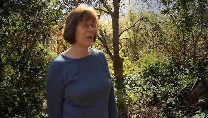 Discover the Fascinating World of Kangaroos 🦘 | Full Documentary