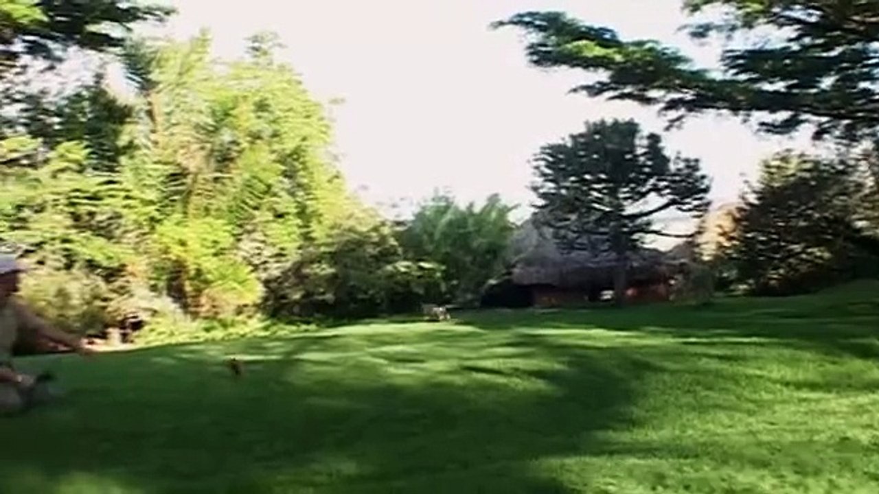 Cheetahs Fast Track to Freedom - Full Documentary