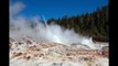 Yellowstone's Steamboat Geyser Just Erupted For a 9th Time