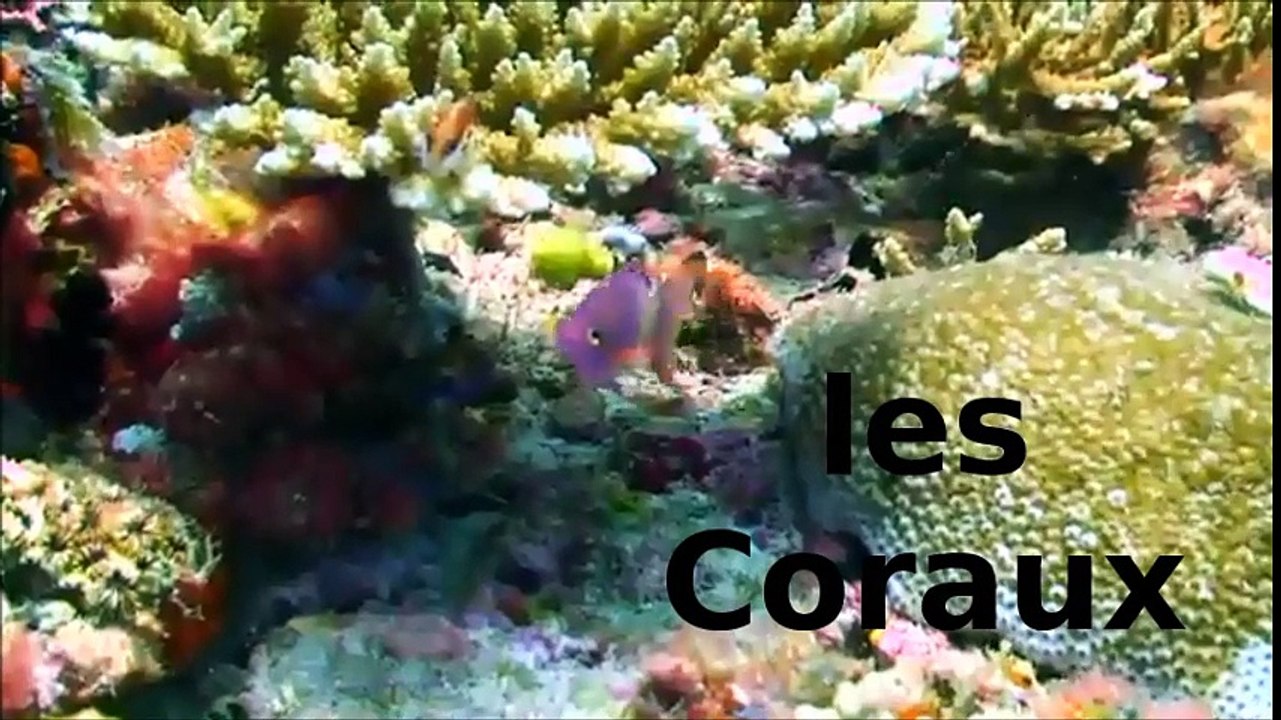 LA TERRE VOUS PARLE